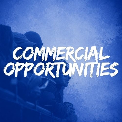 Commercial Opportunites 500x500